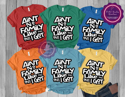 Ain't No Family Like The One I Got T-shirt, Family T-shirt, Reunion Tee, Family Gathering, Matching Family Shirt, Gift For Family